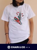 画像: 【CHARI&CO】チャリアンドコー CONNIE TEE SKI JUMP 入荷アップしました。