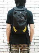 画像: 【ARC'TERYX/アークテリクス】 FLY 13 Back pack新入荷アップしました。