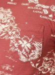 画像5: 【J.CREW】ジェイクルー Slim Washed Hawaiian Pocket  S/S TEE RED (5)